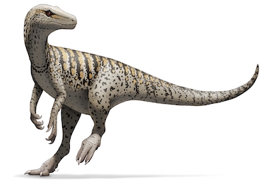 Image of Herrerasaurus