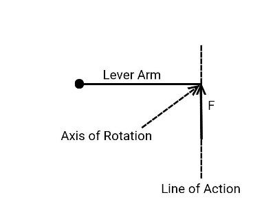 Identifying Sketches of the Lever Arm, Axis of Rotation, & Line of ...