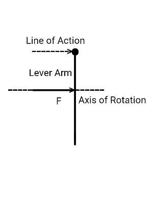 Identifying Sketches of the Lever Arm, Axis of Rotation, & Line of ...
