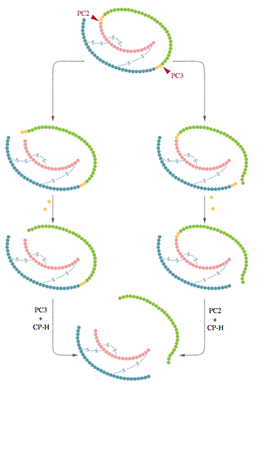 Predicting How Changing a Substrate's Structure Will Affect its ...