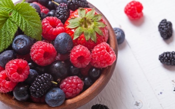 Antioksidan, seperti buah beri, memberikan nutrisi kepada mahasiswa.