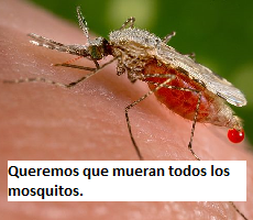 mosquitoes die