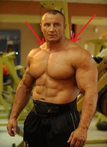 High Traps Trapezius Muscle Definition, Action & Origin - Lesson | Study.com