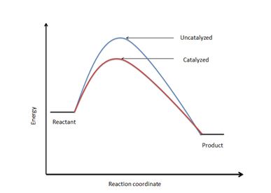 Determining How a Catalyst Increases Rate of a Reaction by Lowering the ...