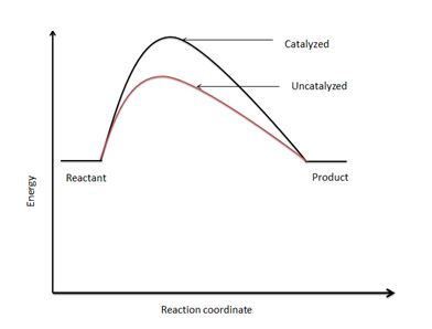 Determining How a Catalyst Increases Rate of a Reaction by Lowering the ...