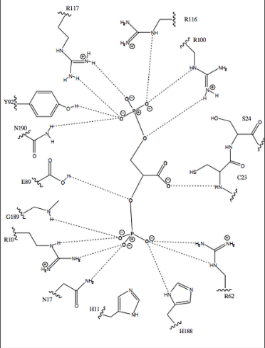 Predicting How Changing the Structure of the Active Site will Affect ...