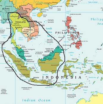 Hairy-Nosed Otter: Habitat, Breeding & Population | Study.com