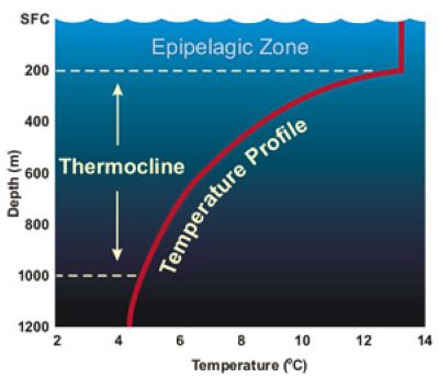 Ocean Upwelling Definition Occurrence Zones Lesson Study Ocean Upwelling Definition Occurrence Zones Lesson Study