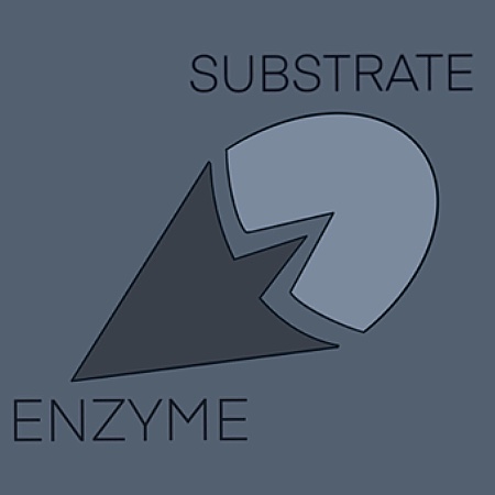 Predicting How Changing the Structure of the Active Site will Affect ...