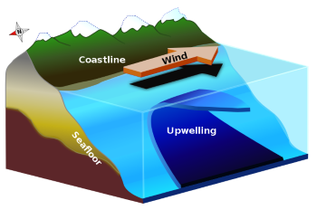 Ocean Circulation | Patterns, Effects on Climate & Temperature - Lesson ...