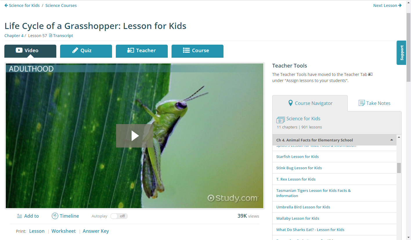 How do I add lessons to a Custom Course? : Study.com