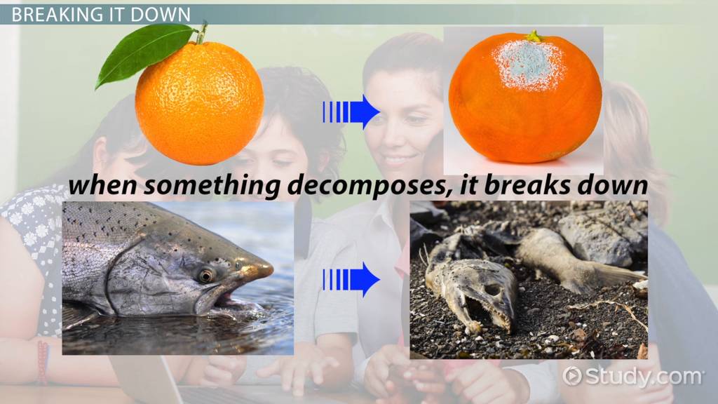 How To Decompose Numbers In Math Video Lesson Transcript Study