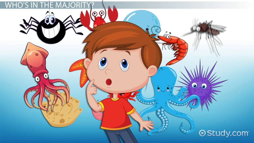 Invertebrates Vs Vertebrates Lesson For Kids Video Lesson