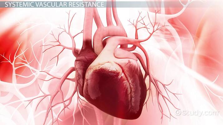 Systemic Vascular Resistance | SVR Overview & Calculation - Video ...