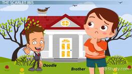 Quiz & Worksheet - The Lady or the Tiger Themes | Study.com